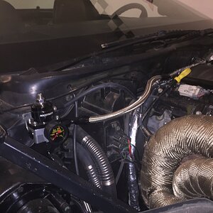 iOS Image - 1267784526.jpg