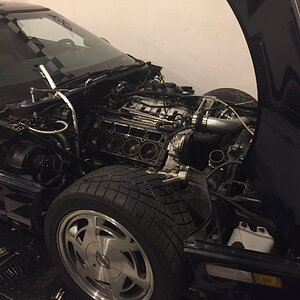 iOS Image - 2829156537.jpg