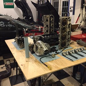 iOS Image - 374051967.jpg