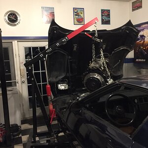 iOS Image - 846677092.jpg