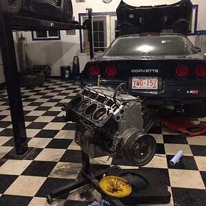 iOS Image - 3414263422.jpg