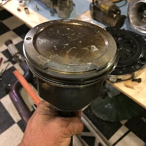 iOS Image - 3879959196.jpg