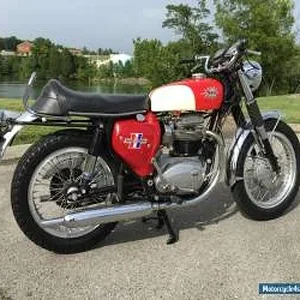 1967-bsa-a65-spitfire-mark-iii-11366-3.webp