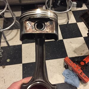 iOS Image - 3546422569.jpg