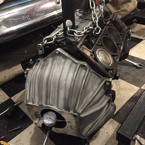 iOS Image - 1417940368.jpg