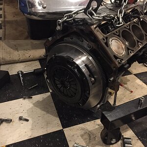 iOS Image - 4236766697.jpg