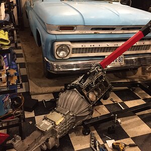 iOS Image - 608921962.jpg