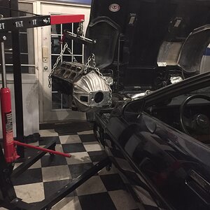 iOS Image - 776685698.jpg