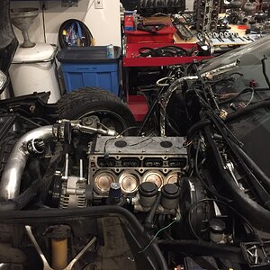 iOS Image - 3876553356.jpg