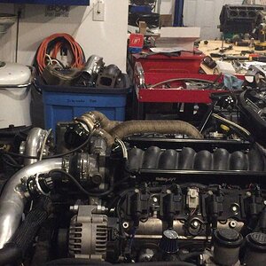 iOS Image - 2554502290.jpg