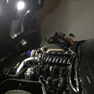 iOS Image - 1829586044.jpg