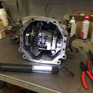 iOS Image - 1458074846.jpg