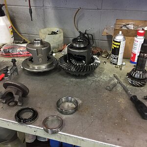 iOS Image - 3953788664.jpg