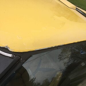 iOS Image - 2420793464.jpg