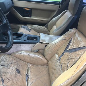 iOS Image - 989433754.jpg