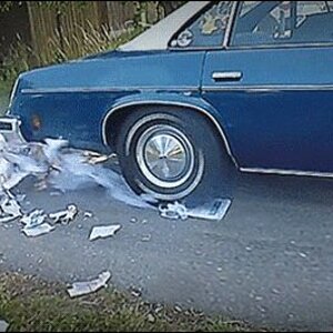 iOS Image - 4213746650.jpg