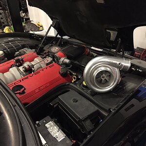 iOS Image - 2233863787.jpg