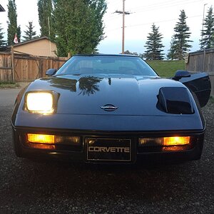 iOS Image - 460198147.jpg