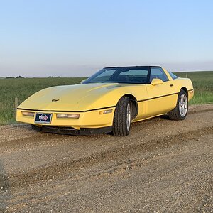 iOS Image - 1492916752.jpg