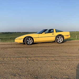 iOS Image - 870464480.jpg