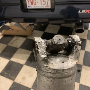 iOS Image - 1364178766.jpg